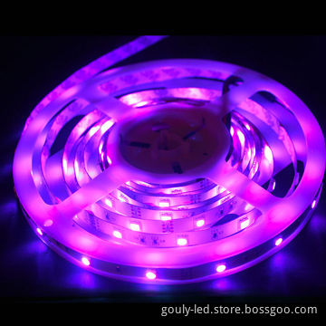 LED strip, chasing colorNew